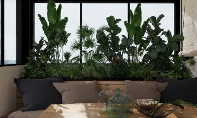 Wellness Design: el arte de diseñar un hogar que recarga tu mente